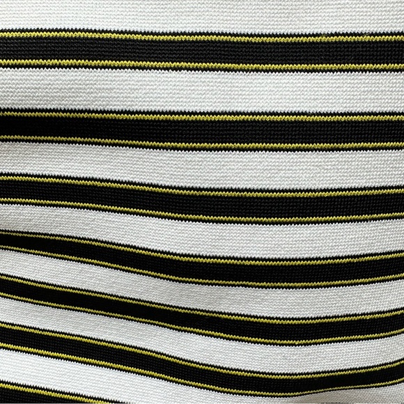 A.L.C. Striped Pencil Skirt - Picture 6 of 6